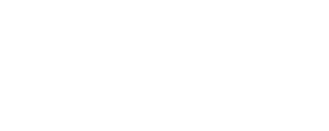 Einteligent